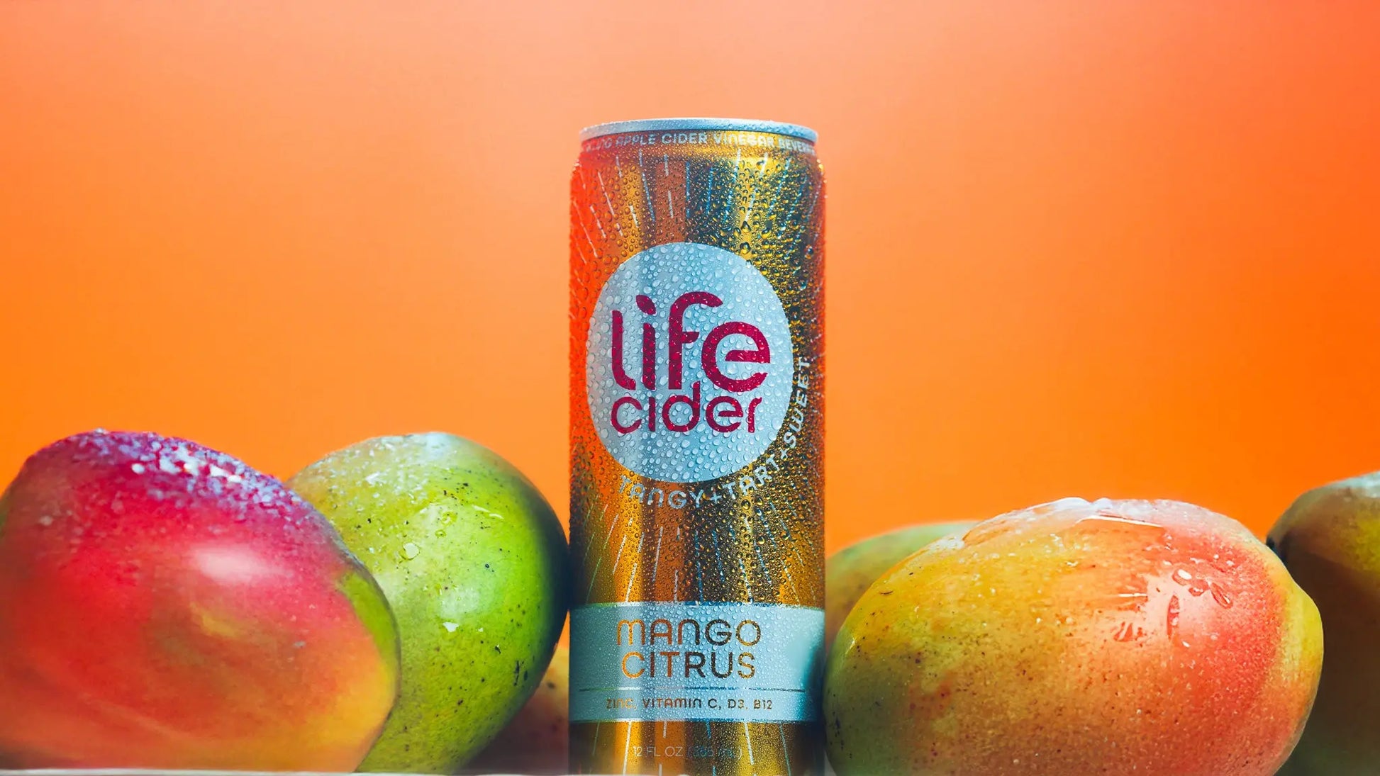 Mango Citrus - 12 Pack Life Cider