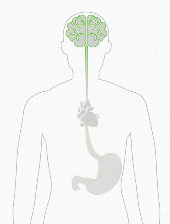 Entourage Effect Image