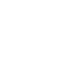 Stomach Diagram
